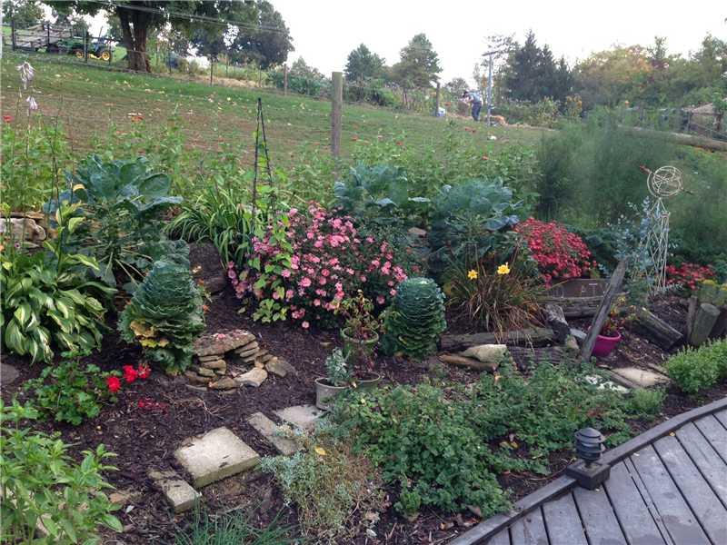 174 Hickory Road Scenery Hill, PA 15360 - Photo 10 of 25 Land.