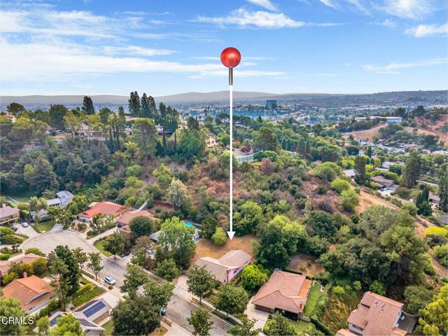 a view of a tree with lots of bushes