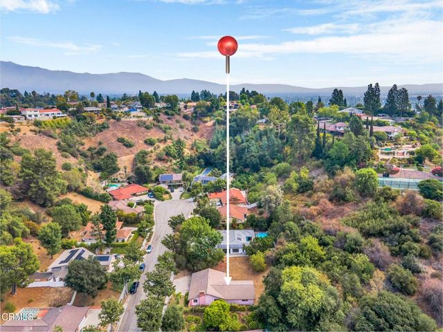 a bird view of flowers and tree
