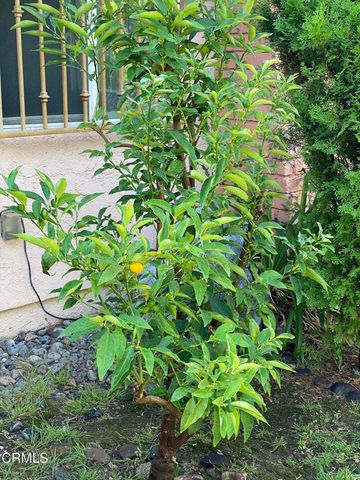 $1,768,000 | 431 La Terraza Street, South Pasadena, CA 91030