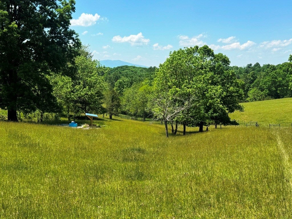 85-acre Coffey Road, Unit 1 & 2 Max Meadows, VA 24360 - Photo 25 of 25 Gallery Image 25