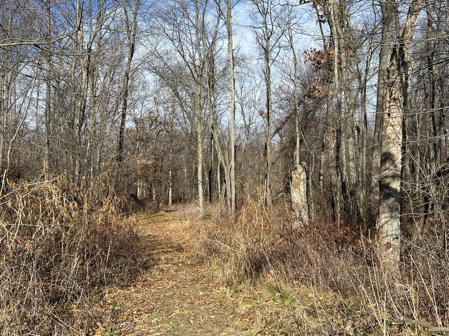 Fowle Road Jonesville, MI 49250 - Photo 1 of 13 Wel1
