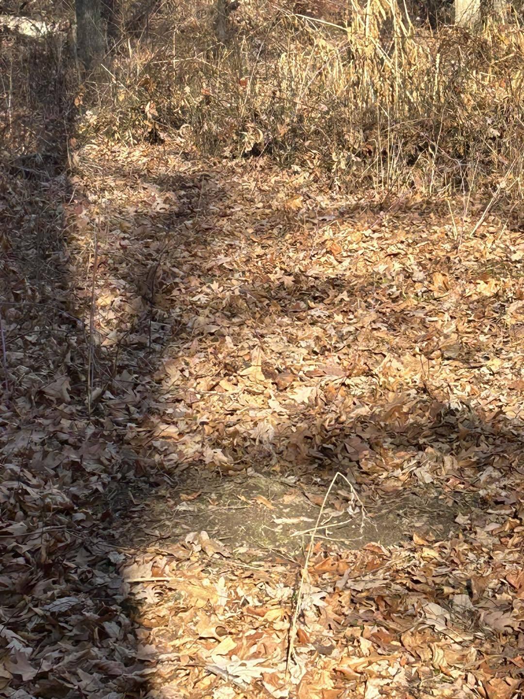 Fowle Road Jonesville, MI 49250 - Photo 4 of 13 Wel4