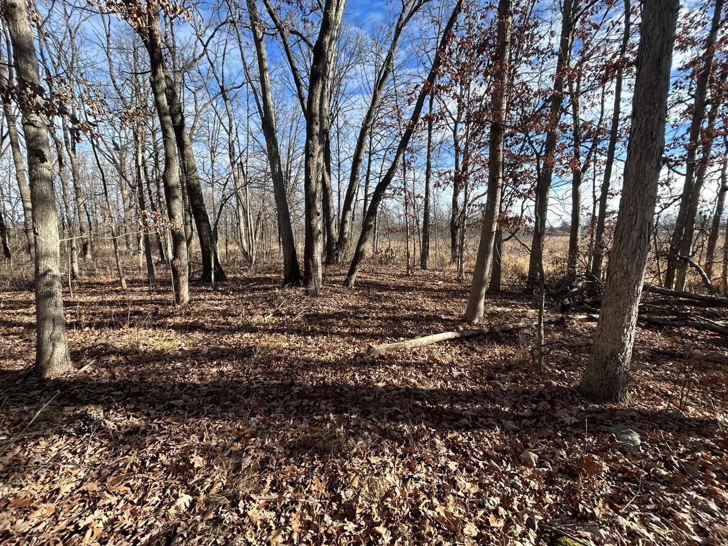 Fowle Road Jonesville, MI 49250 - Photo 7 of 13 Wel7