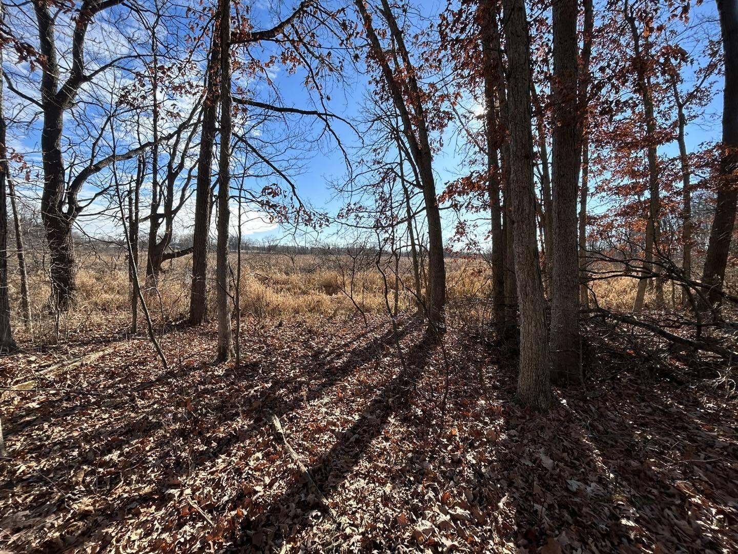 Fowle Road Jonesville, MI 49250 - Photo 8 of 13 Wel8