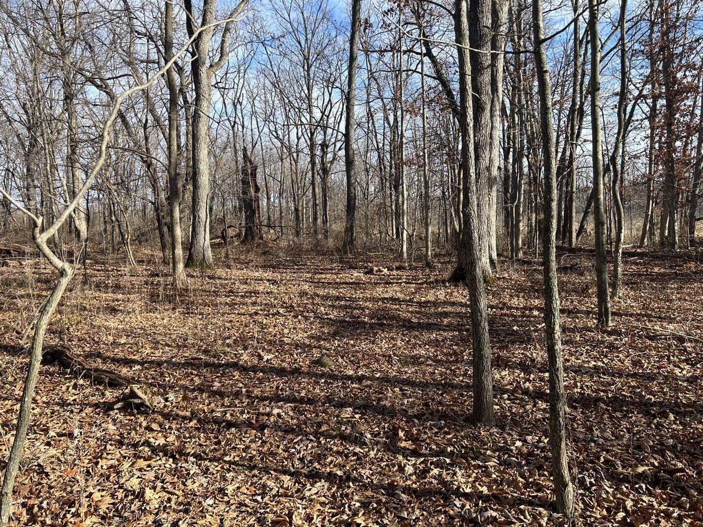 Fowle Road Jonesville, MI 49250 - Photo 10 of 13 Wel10