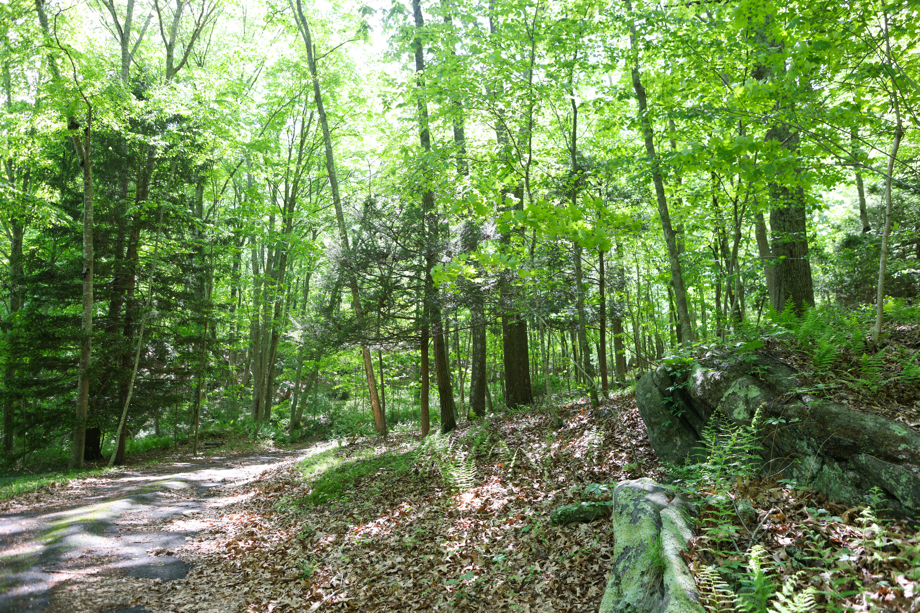 134 Meadow Woods Road Deep River, CT 06417 - Photo 11 of 16