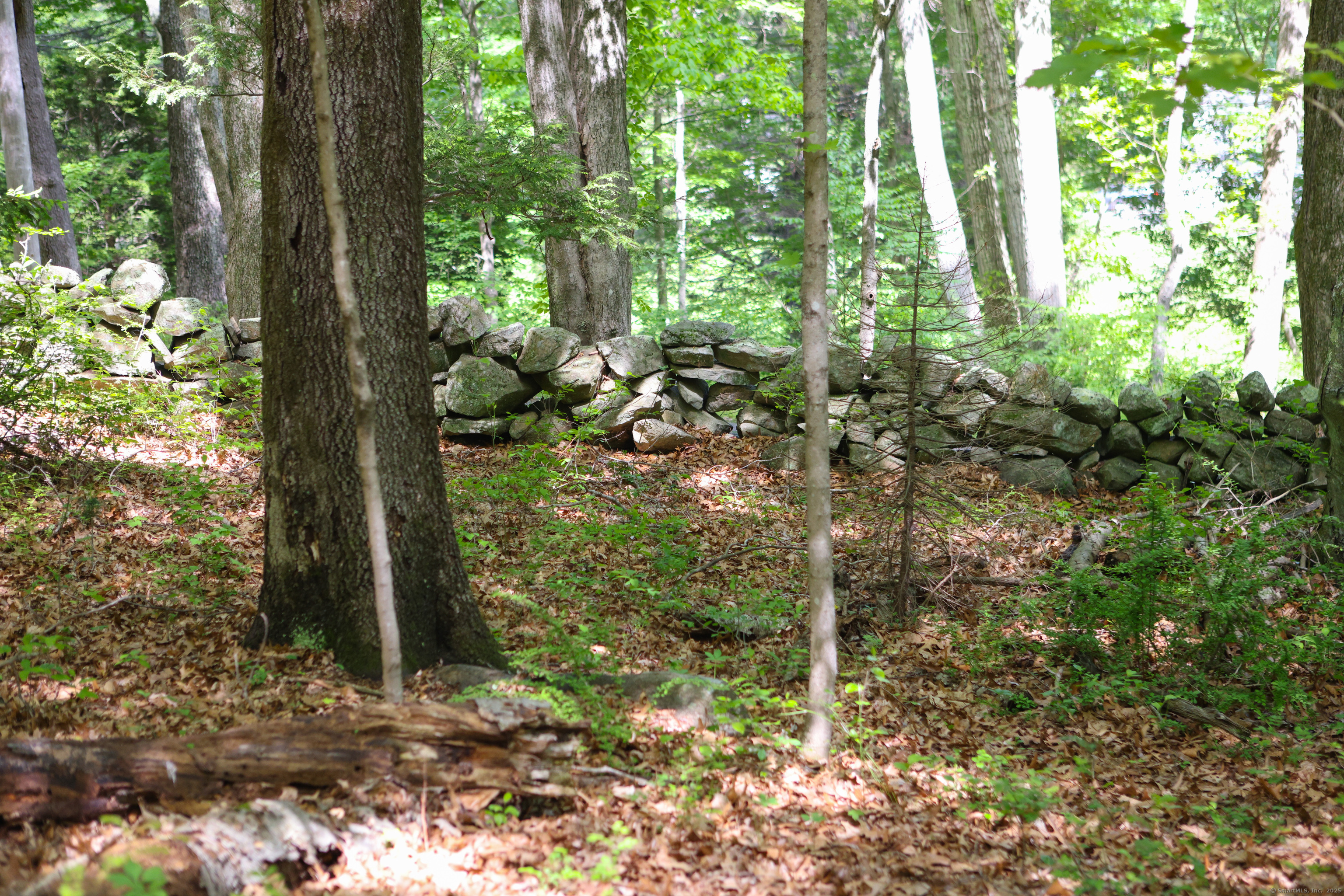 134 Meadow Woods Road Deep River, CT 06417 - Photo 16 of 16