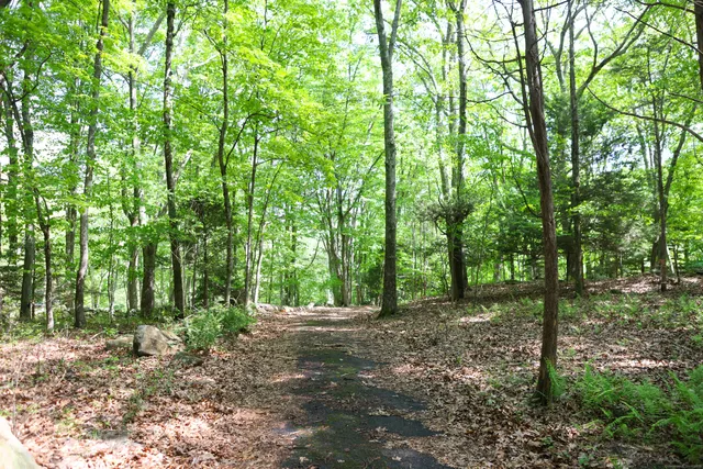 $2,200,000 | 134 Meadow Woods Road, Deep River, CT 06417