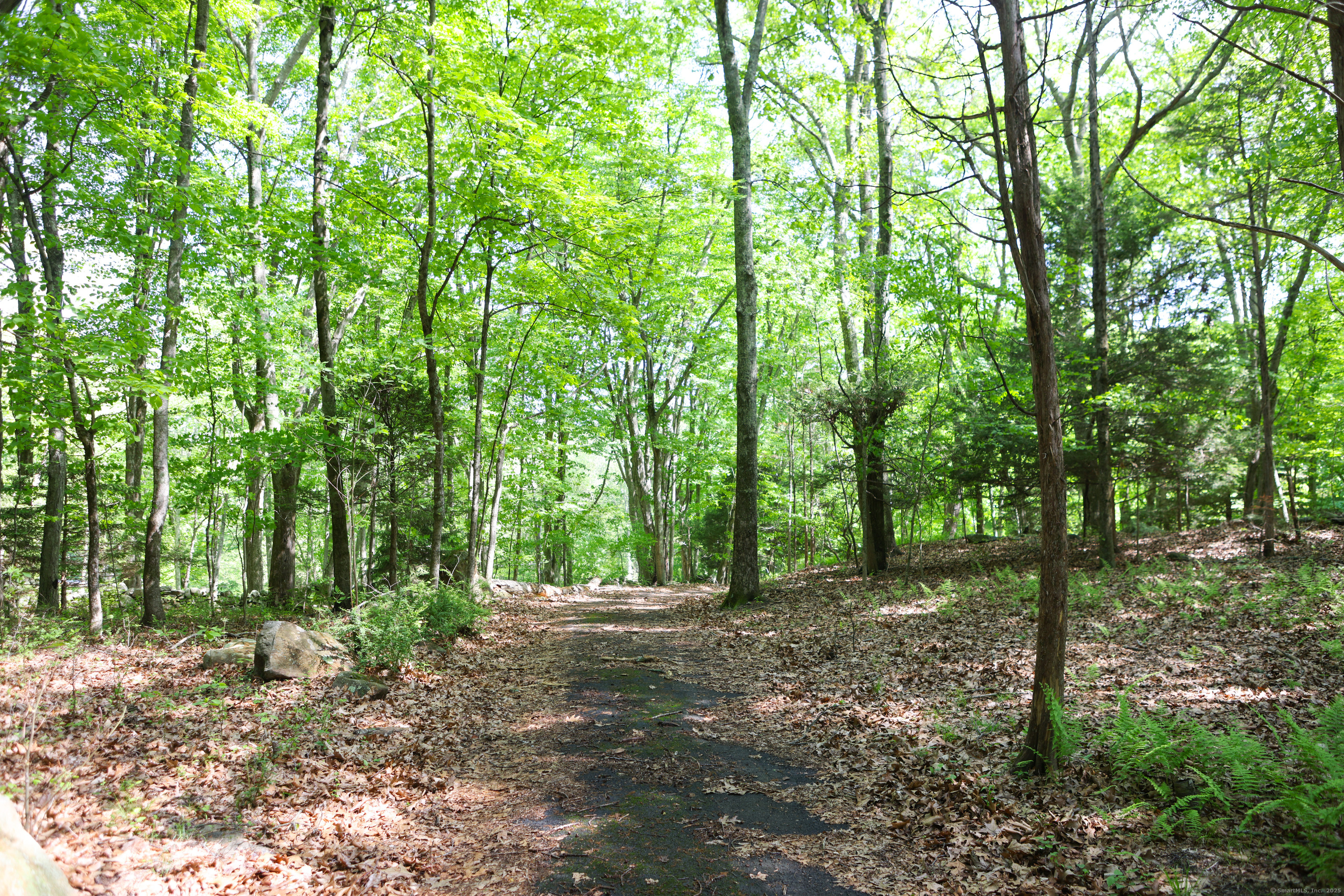 134 Meadow Woods Road Deep River, CT 06417 - Photo 10 of 16