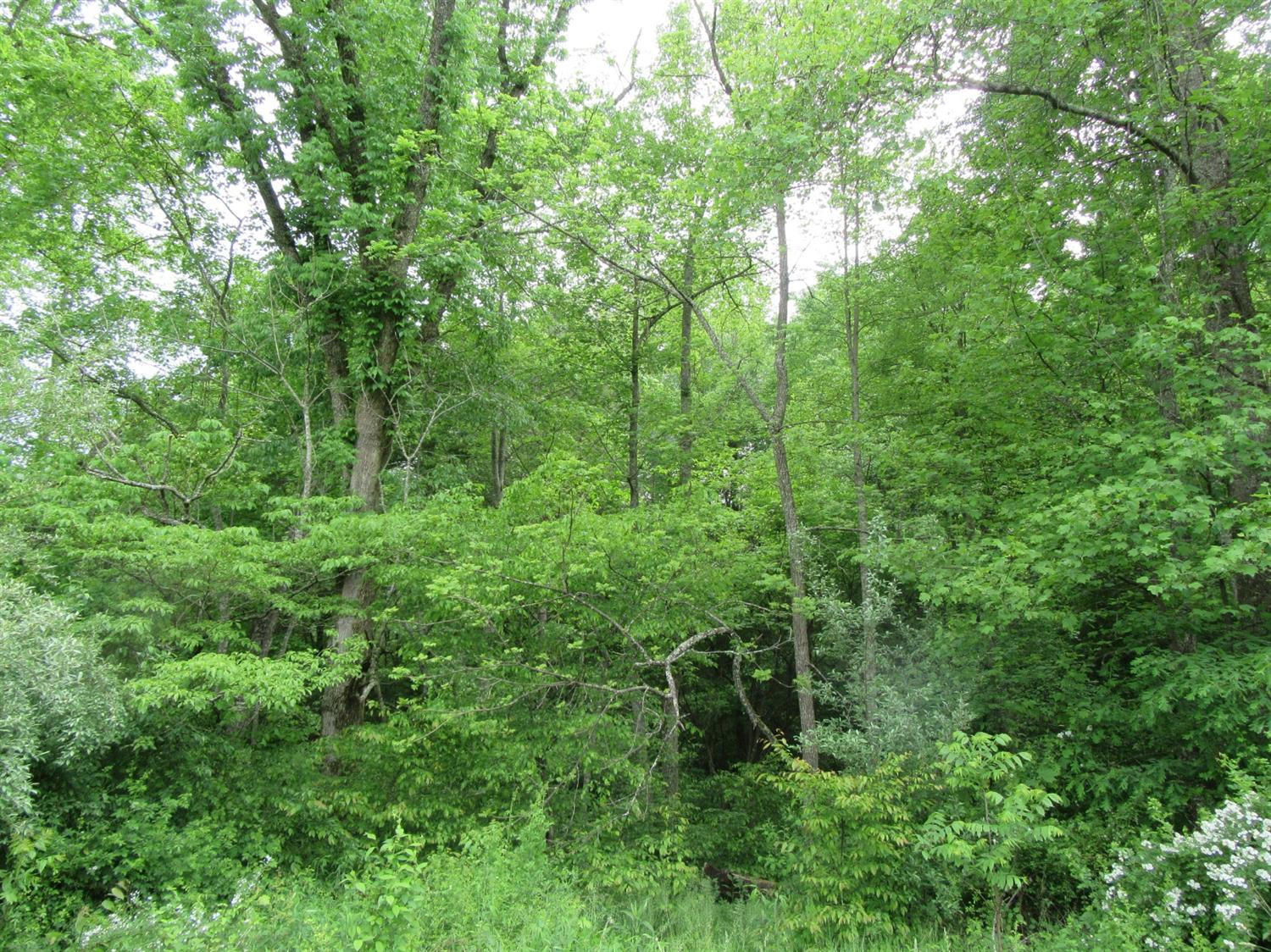 0 Midnight Stable Road Manchester, KY 40962 - Photo 10 of 20 Photo 10