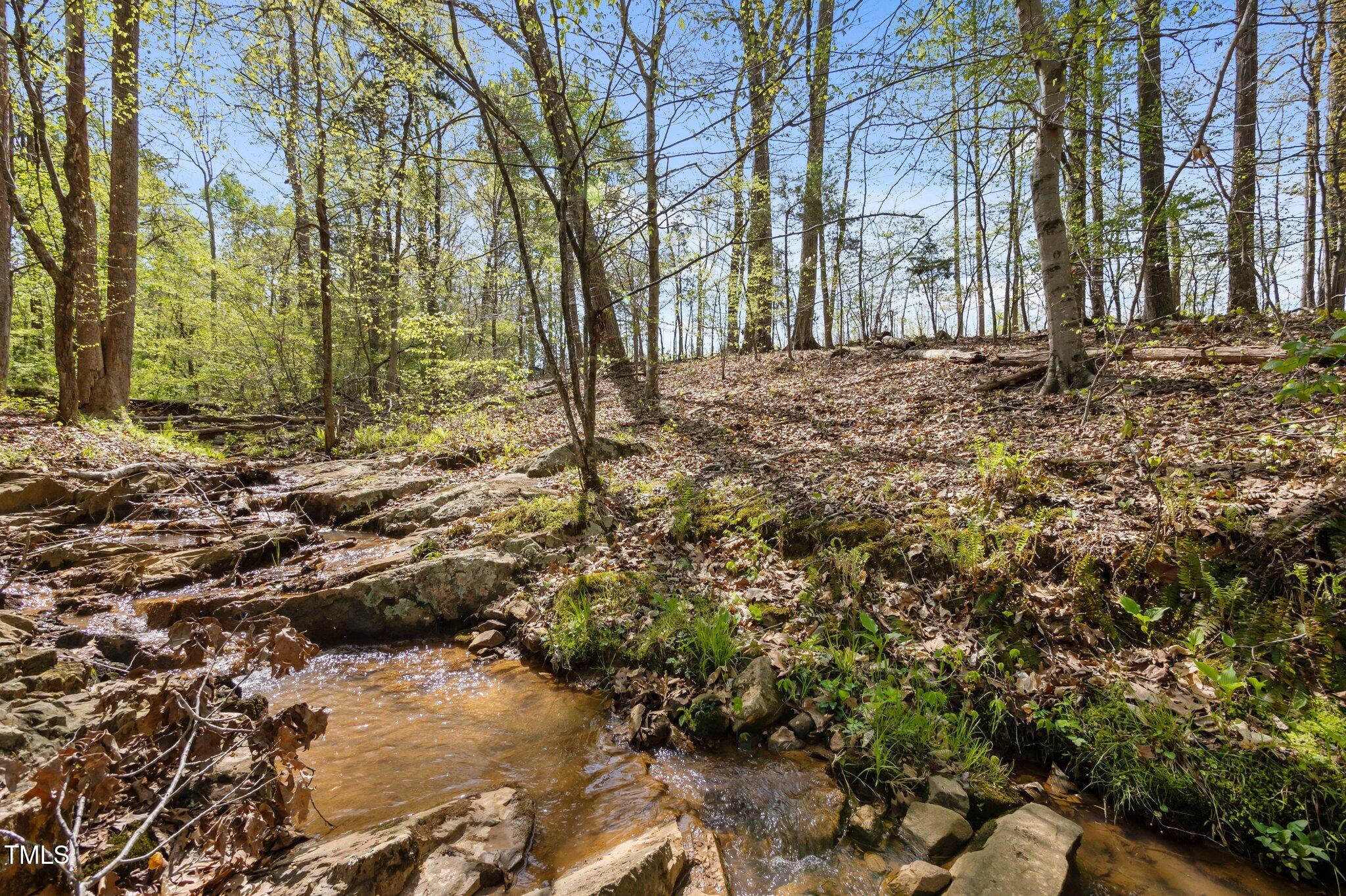 1174 Robertson Road Roxboro, NC 27574 - Photo 52 of 58 72-web-or-mls-P1035015
