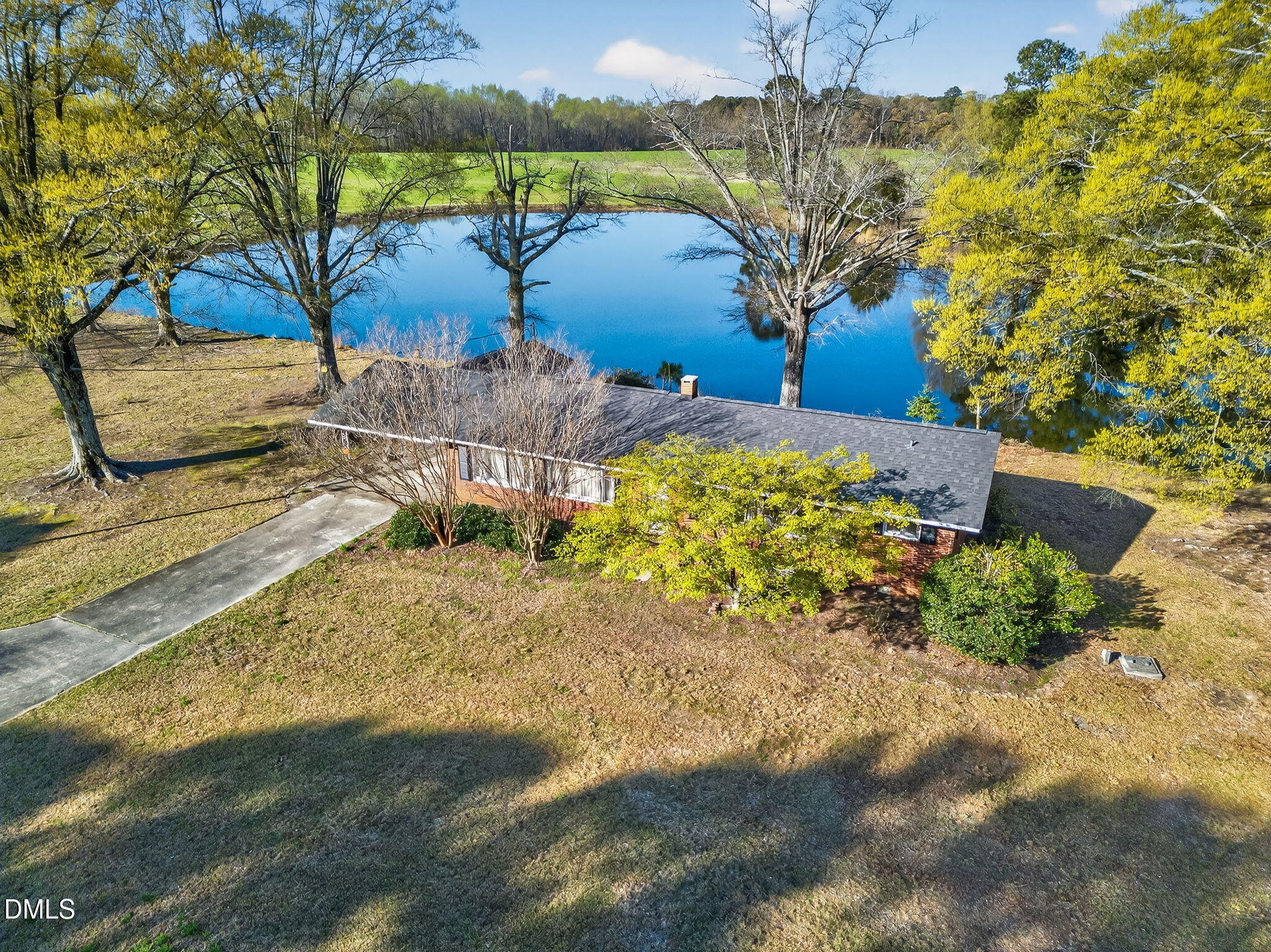 10167 Highway 50 Angier, NC 27501 - Photo 10 of 17 a view of a yard with plants and large trees