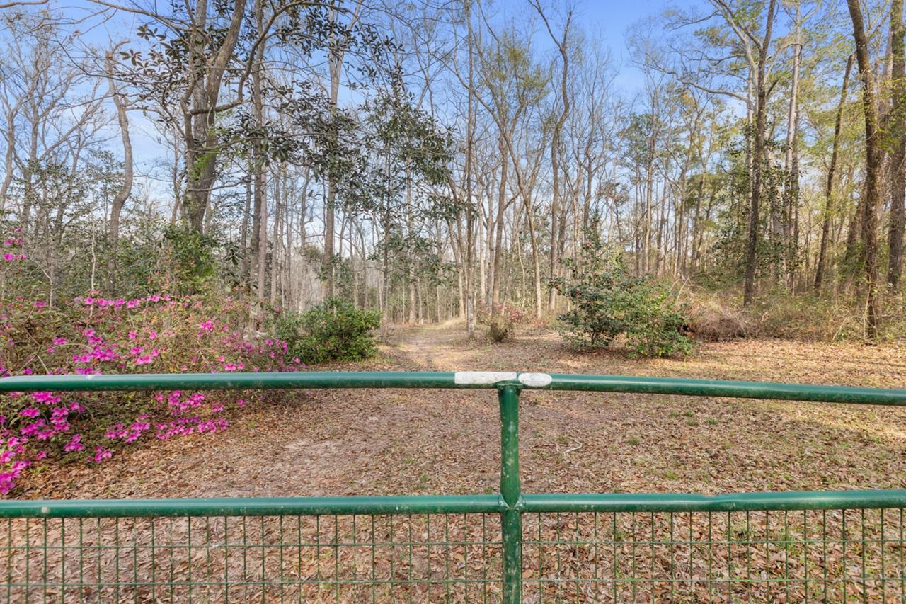 9901 Gamble Road Monticello, FL 32344 - Photo 7 of 61