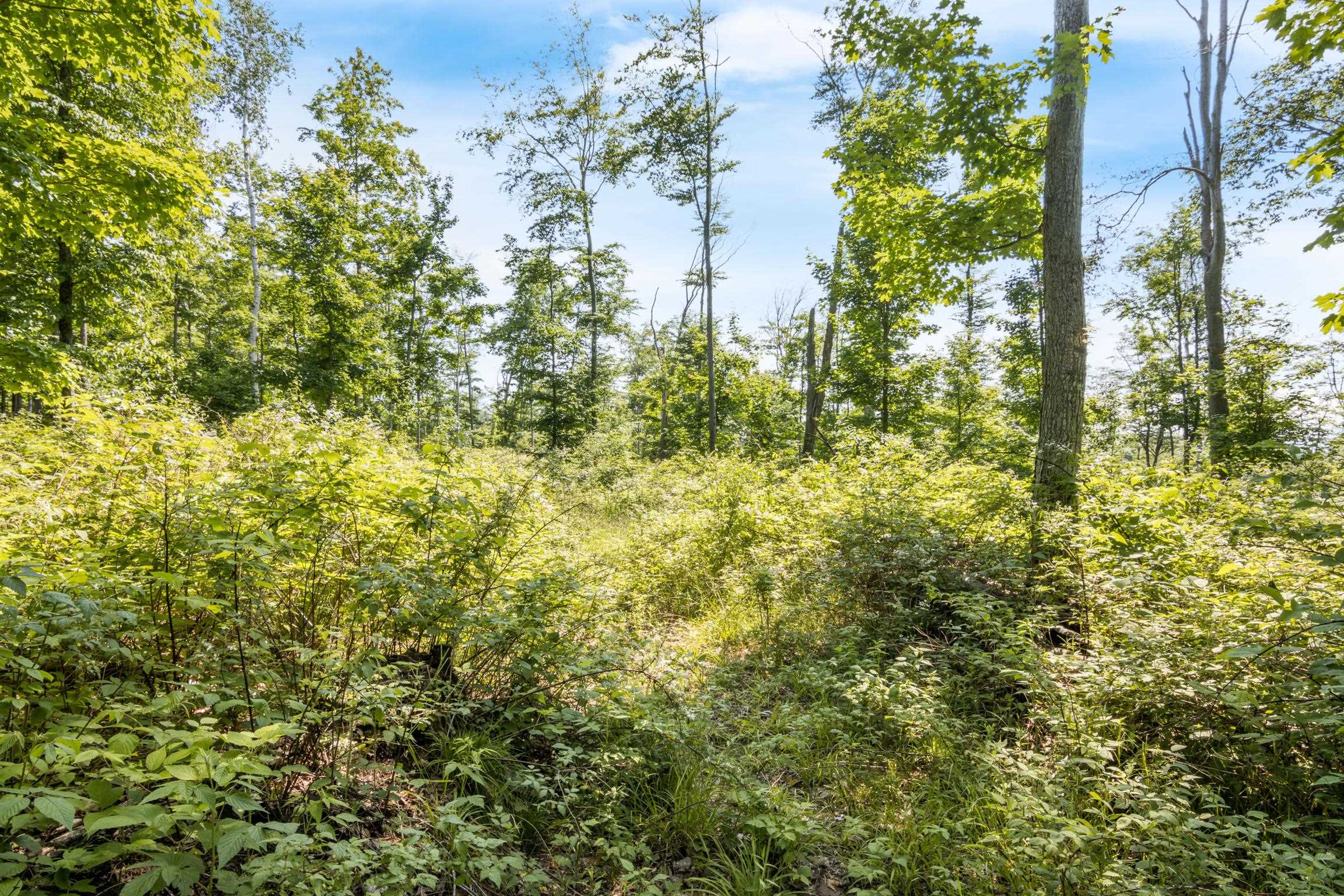 Rex Beach Road Ellsworth, MI 49729 - Photo 16 of 31 Gallery Image 16