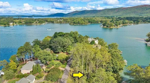 a view of a lake with a houses