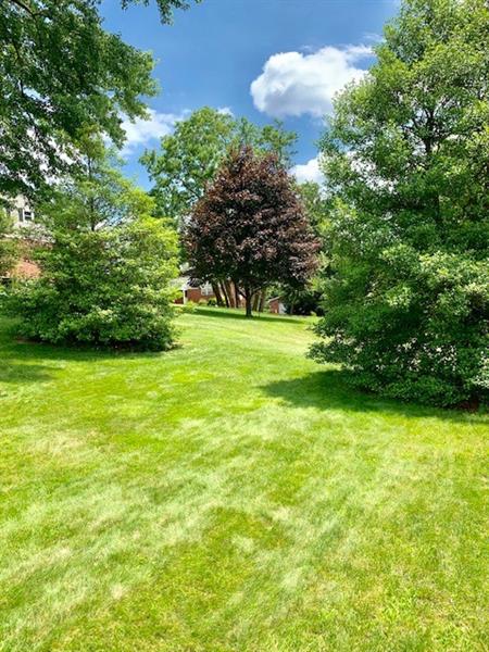 204 Reed Street Lower Burrell, PA 15068 - Photo 8 of 22 Another angle of rear yard.