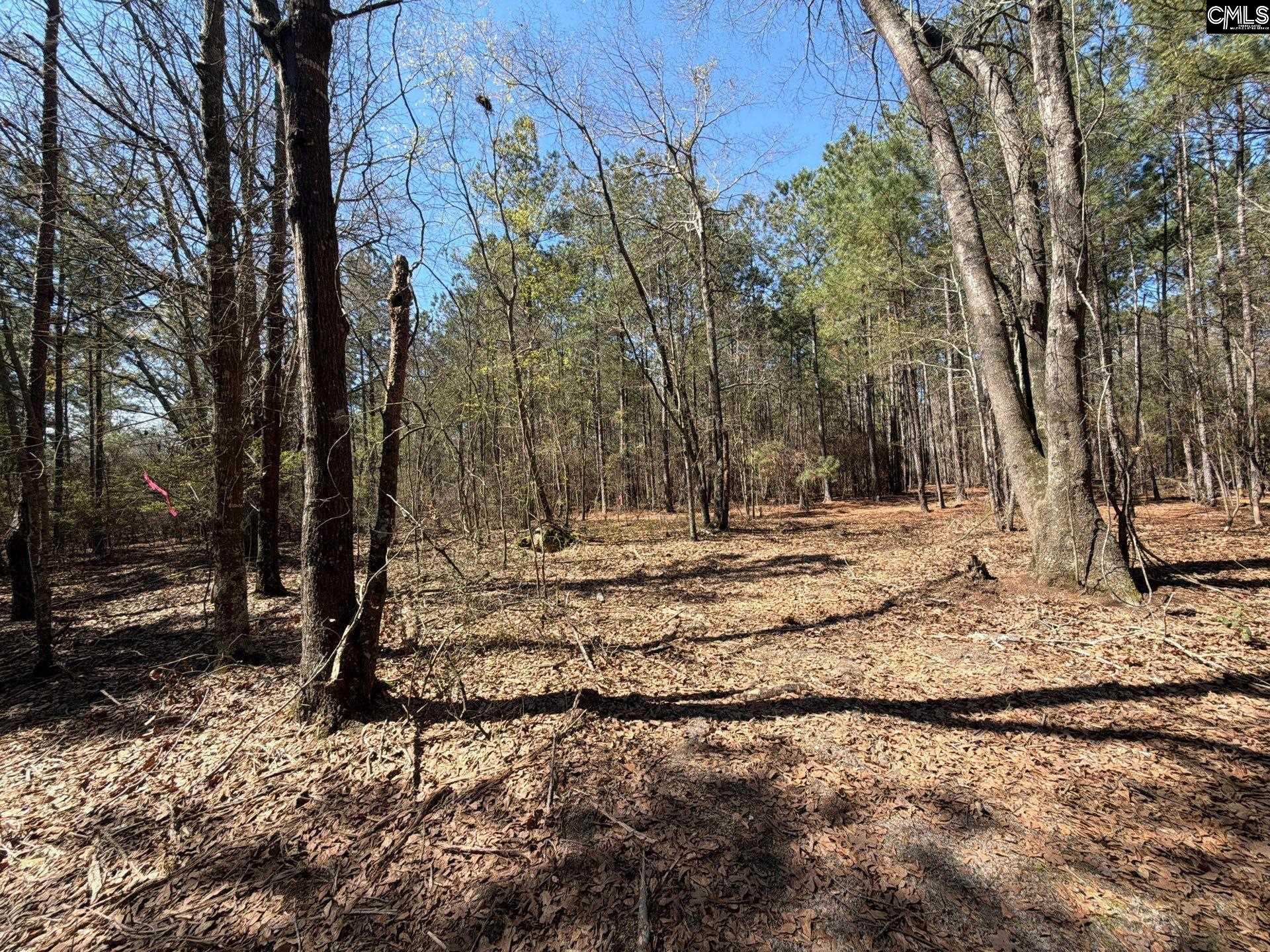 11 Boise Cascade Road, Unit BHL 11 Bethune, SC 29009 - Photo 14 of 24