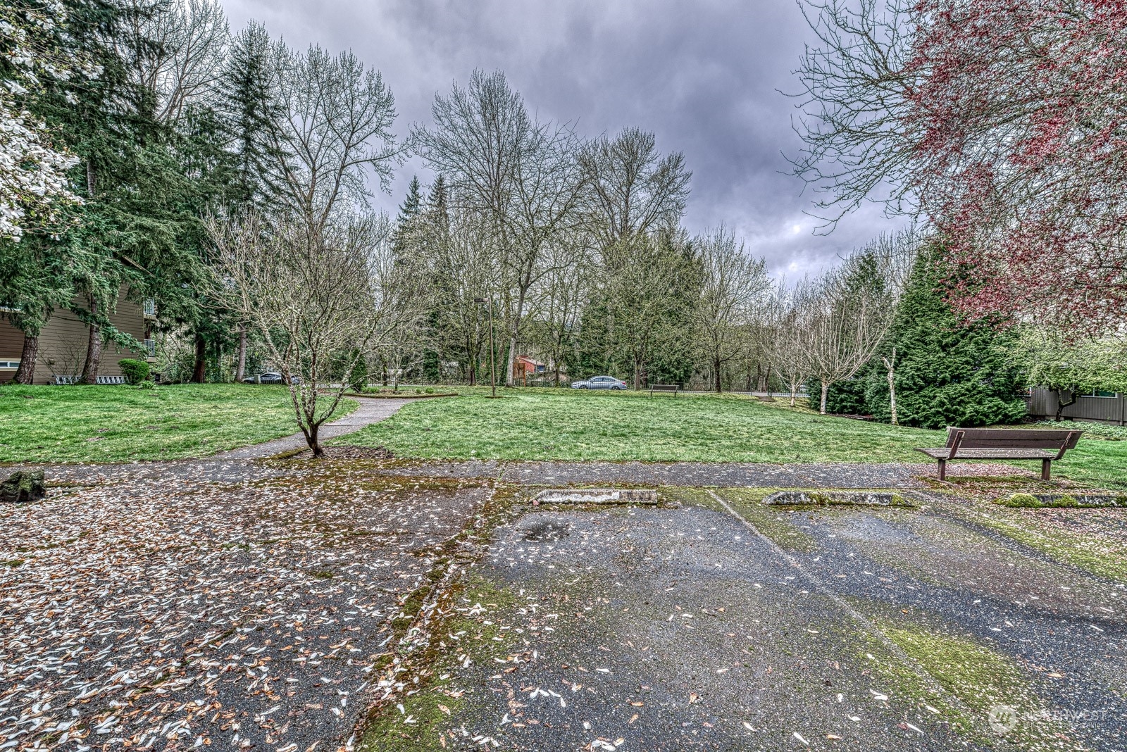 750 3rd Avenue Northwest Issaquah, WA 98027 - Photo 17 of 19 a view of a park