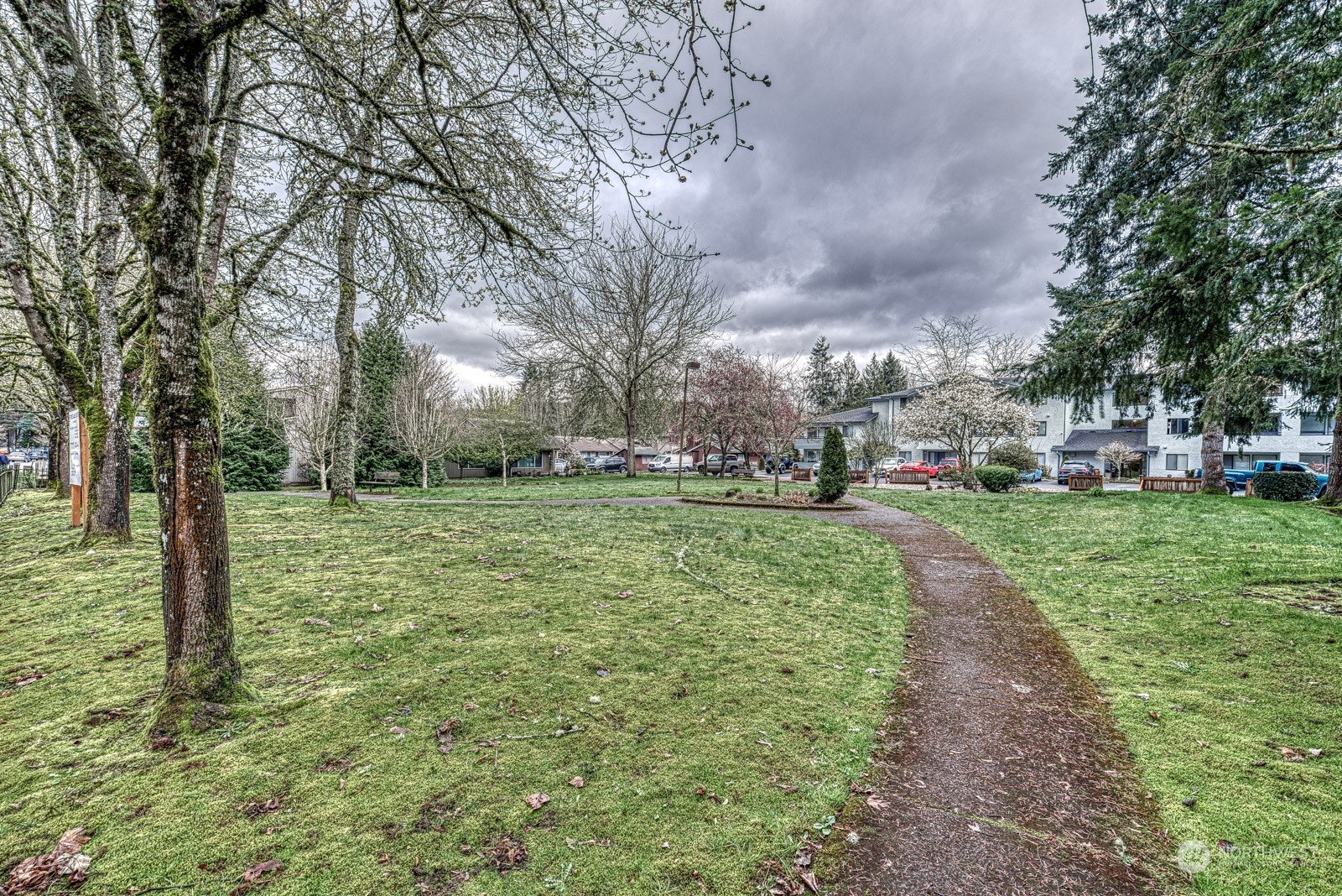 750 3rd Avenue Northwest Issaquah, WA 98027 - Photo 19 of 19 a view of a park with large trees