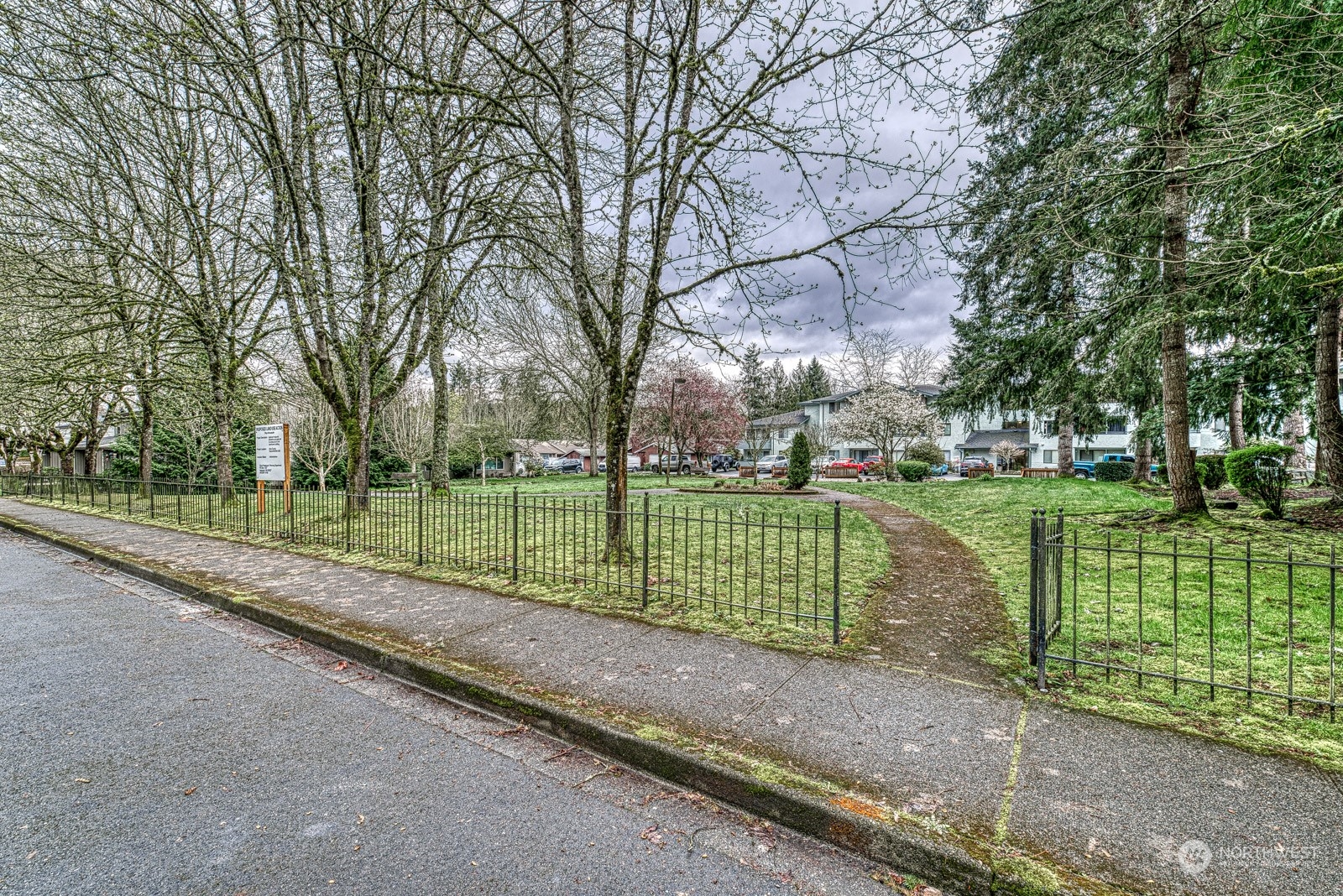 750 3rd Avenue Northwest Issaquah, WA 98027 - Photo 3 of 19 a view of a park with large trees