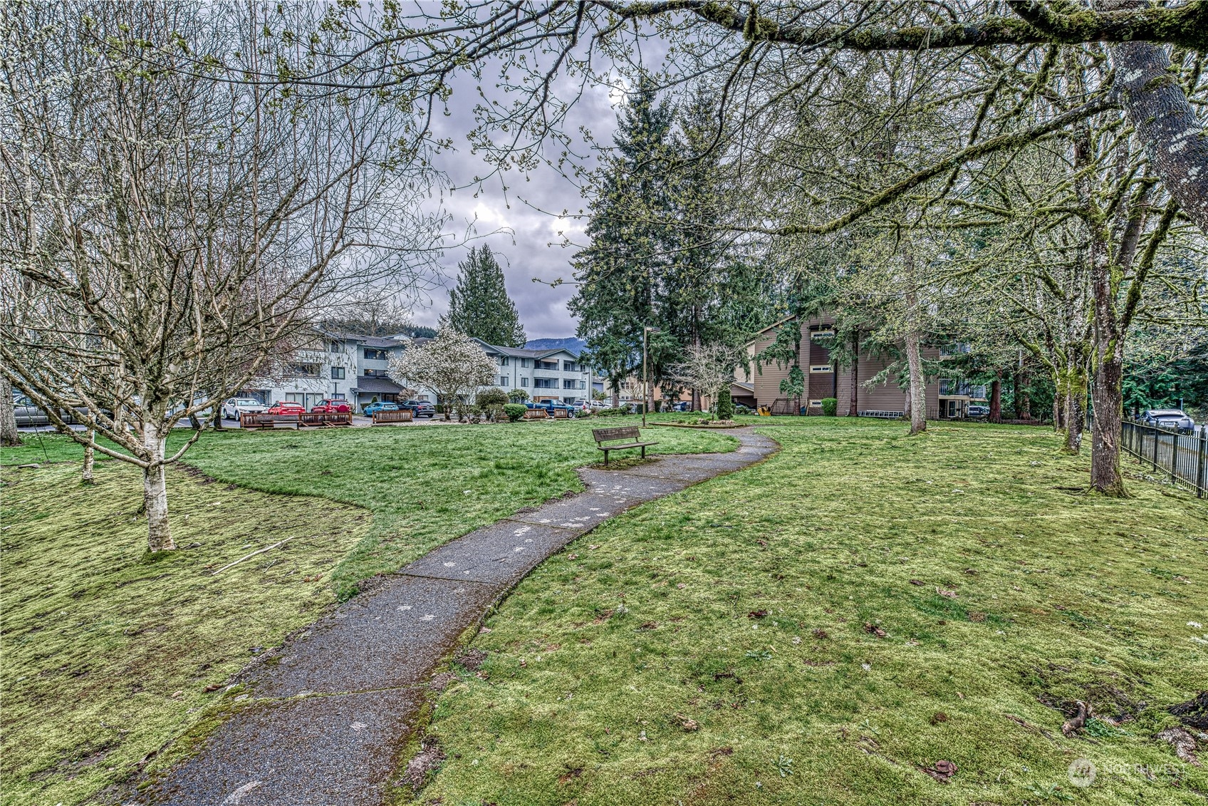 750 3rd Avenue Northwest Issaquah, WA 98027 - Photo 4 of 19 a view of a park with large trees