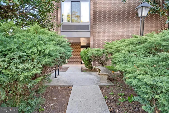 a close up of a tree in a backyard