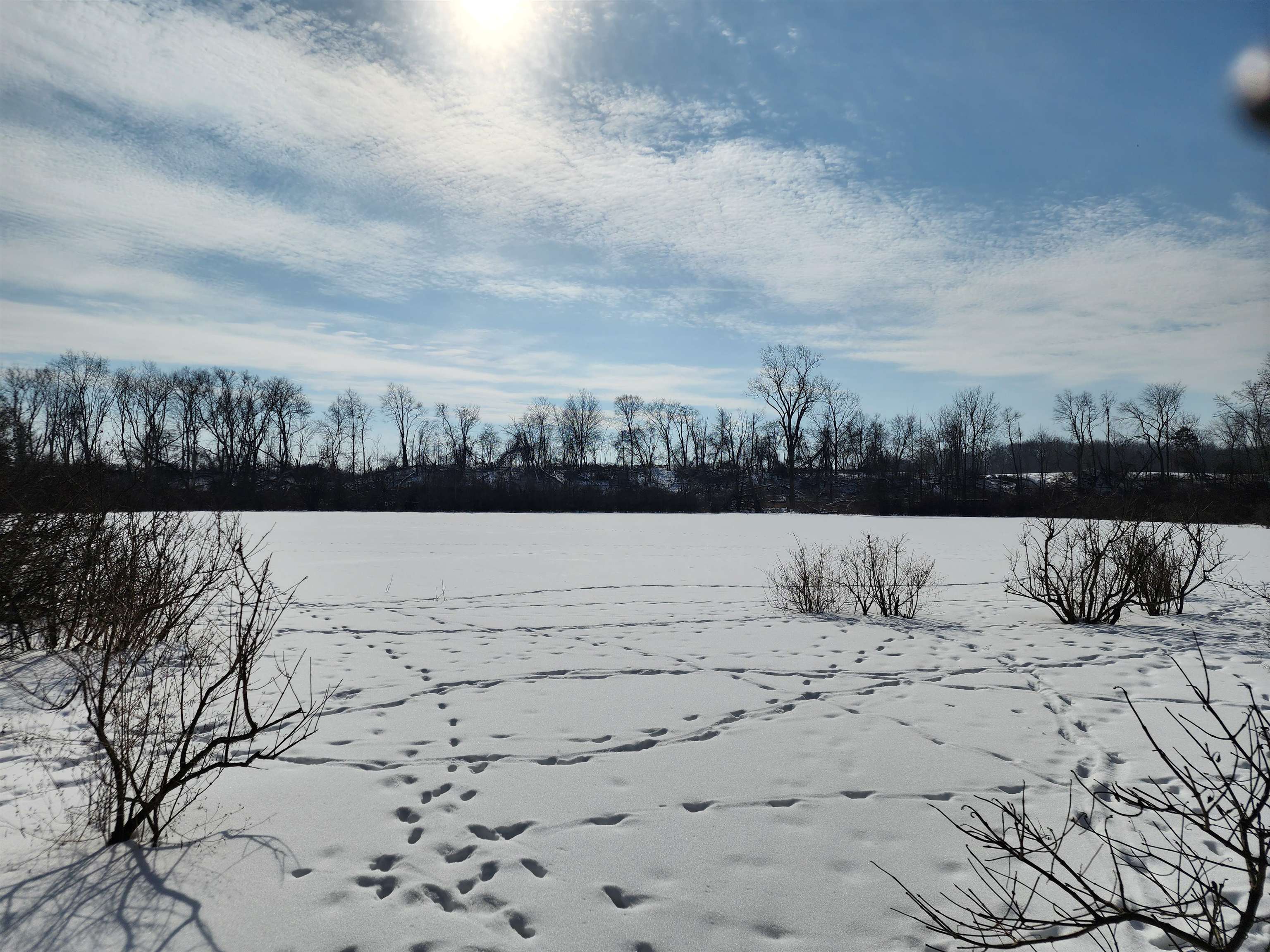 33-acres South Peoples Road Fenwick, MI 48834 - Photo 17 of 20