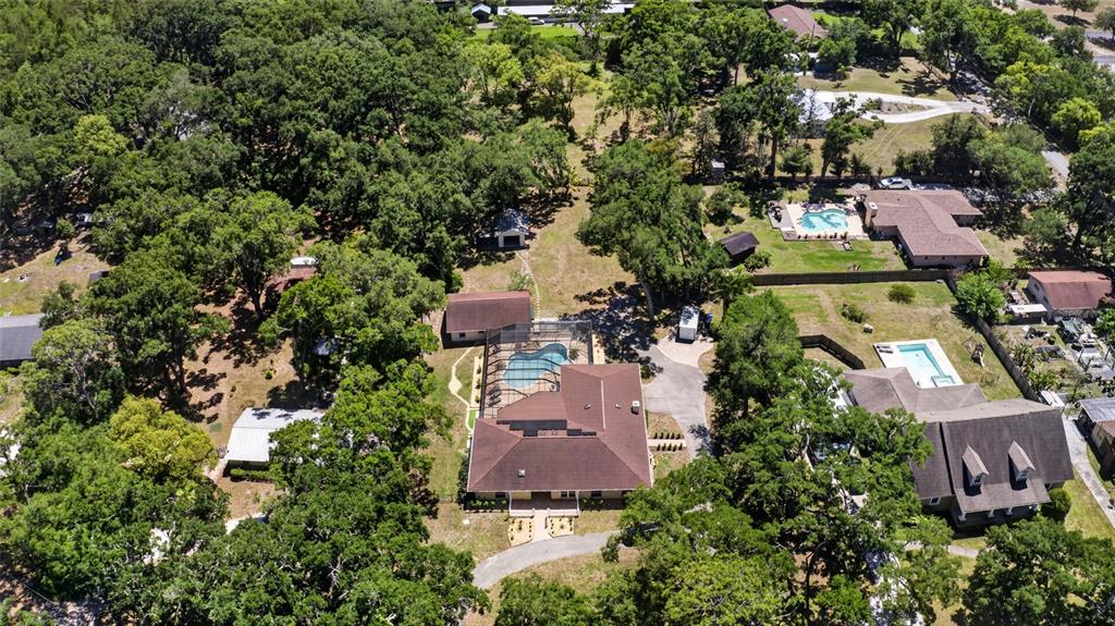 1026 Crystal Lake Road Lutz, FL 33548 - Photo 82 of 86