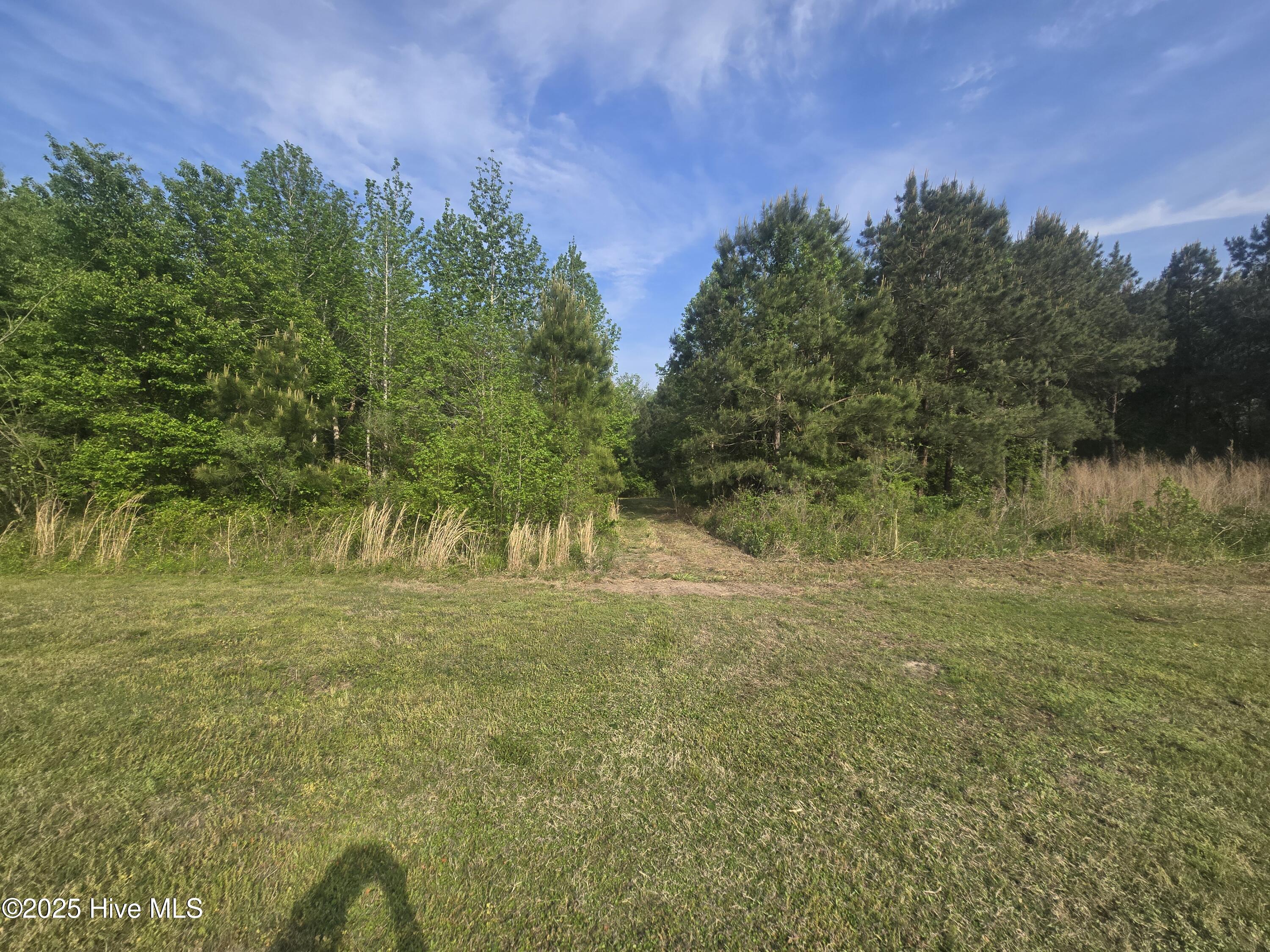 5 Keys Cross Road Hobbsville, NC 27946 - Photo 31 of 42 cleared paths to roam