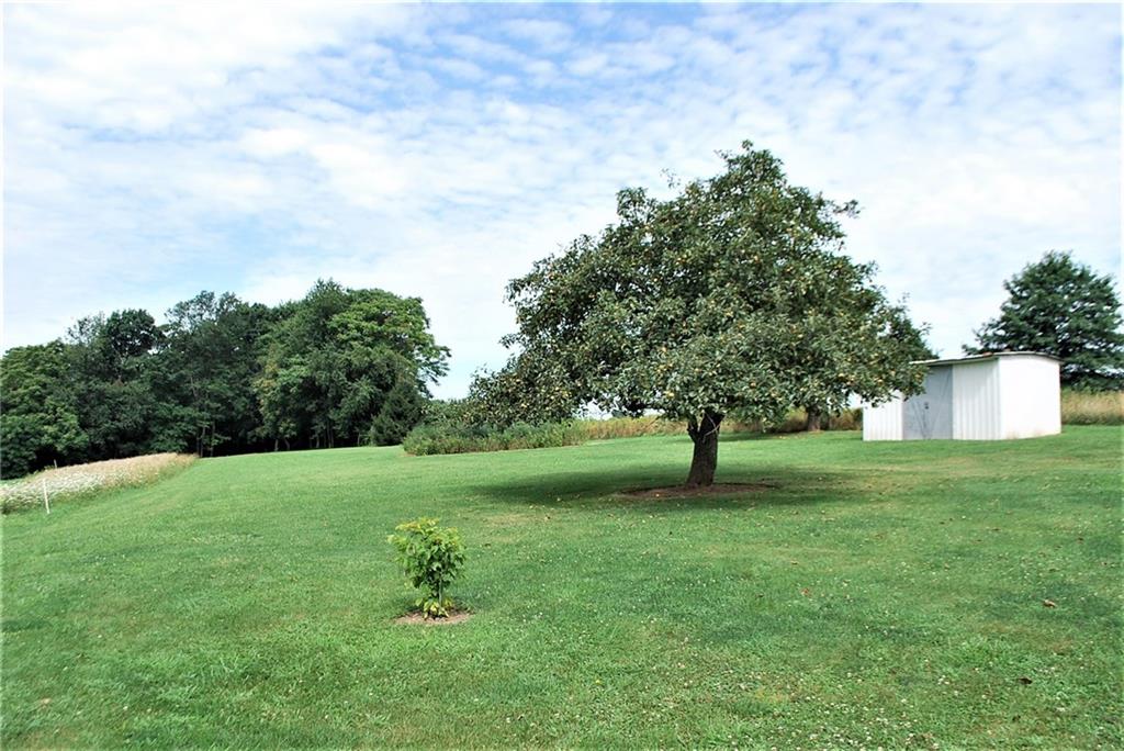 233 Glendale Road Beaver Falls, PA 15010 - Photo 2 of 25 Gallery Image 2