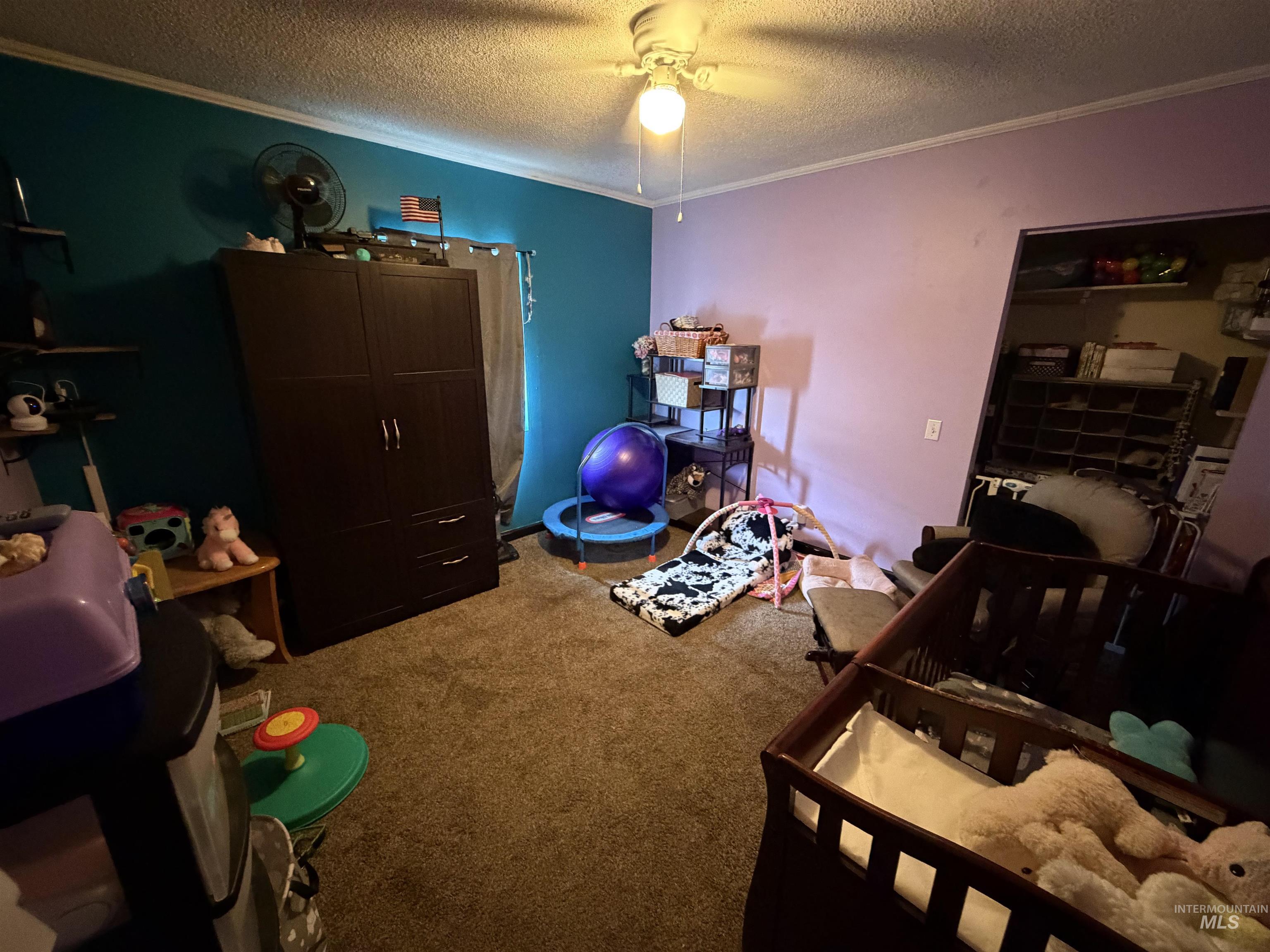 1602 14th Avenue Lewiston, ID 83501 - Photo 27 of 32 Carpeted interior room featuring textured walls, a ceiling fan with integrated lighting, and a closet with shelving