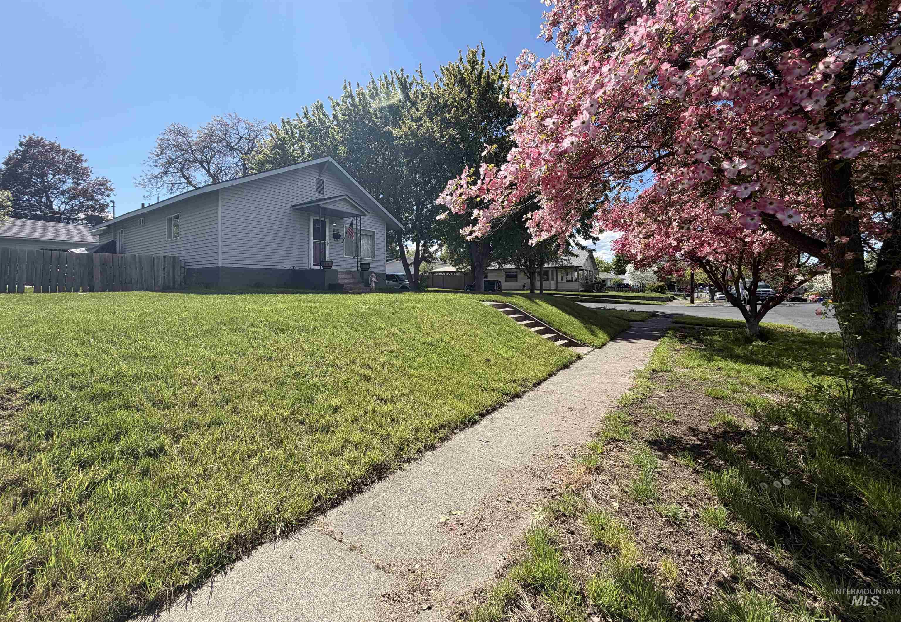 1602 14th Avenue Lewiston, ID 83501 - Photo 7 of 32 Well-maintained front lawn with a sidewalk, mature trees, and flowering pink tree