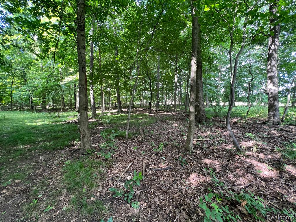 0 North Hadley Road Ortonville, MI 48462 - Photo 12 of 13