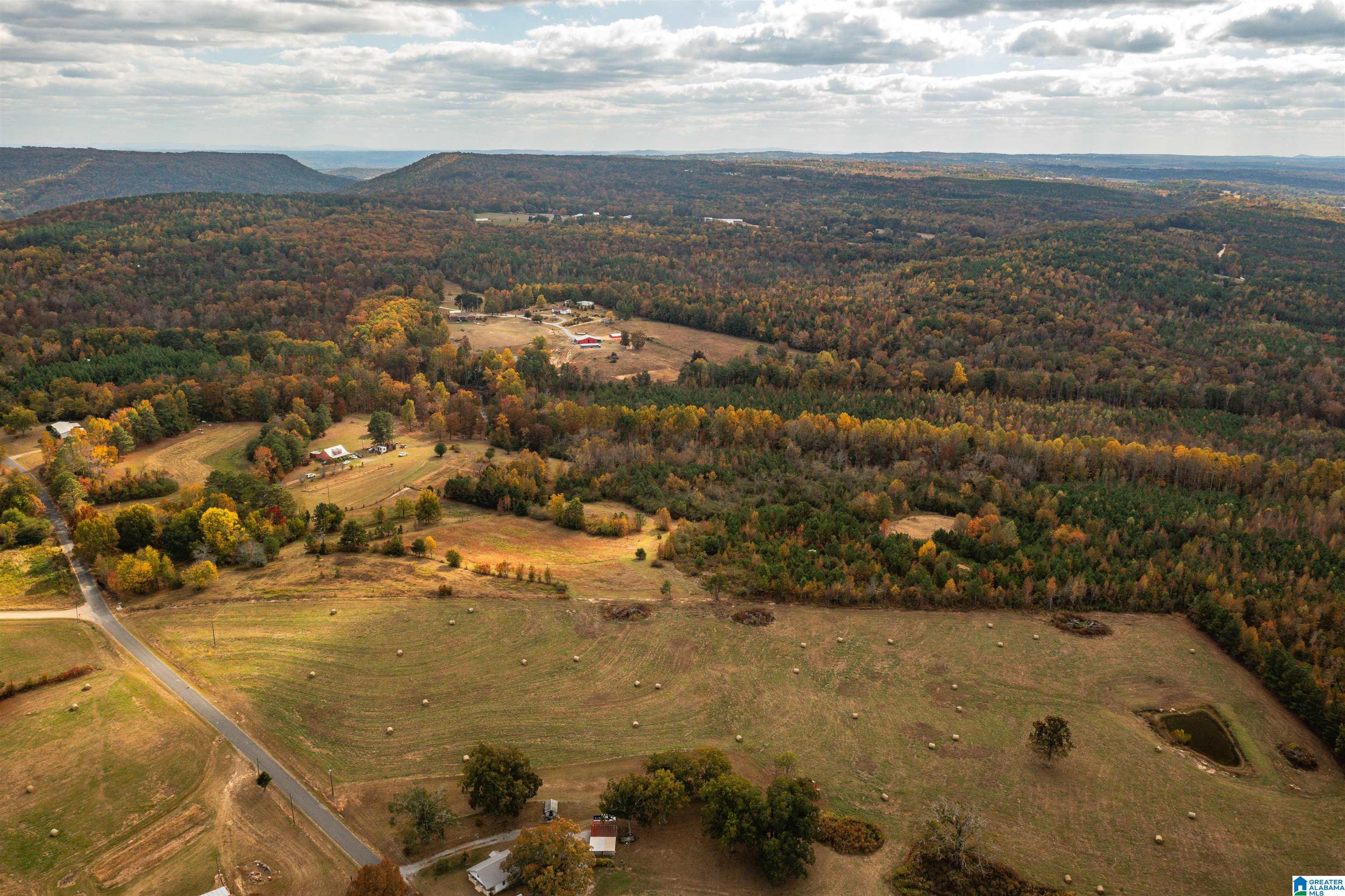 0 Mountain View Church Road, Unit 1 Altoona, AL 35952 - Photo 7 of 36