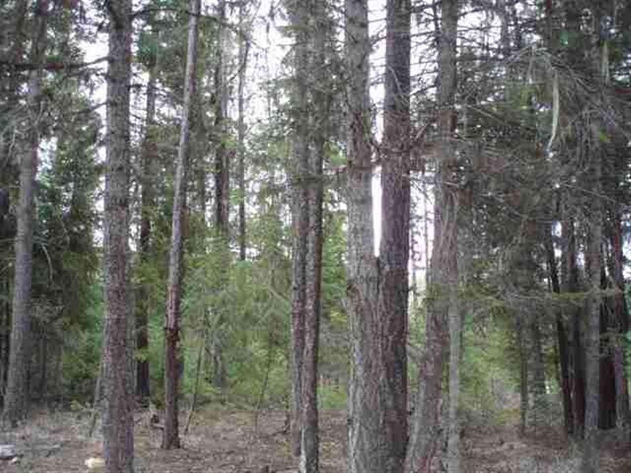 1096 D Middle Basin Road Colville, WA 99114 - Photo 1 of 8