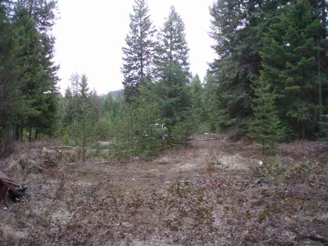 1096 D Middle Basin Road Colville, WA 99114 - Photo 3 of 8