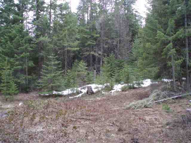 1096 D Middle Basin Road Colville, WA 99114 - Photo 4 of 8
