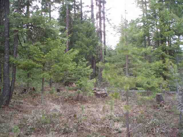 1096 D Middle Basin Road Colville, WA 99114 - Photo 6 of 8