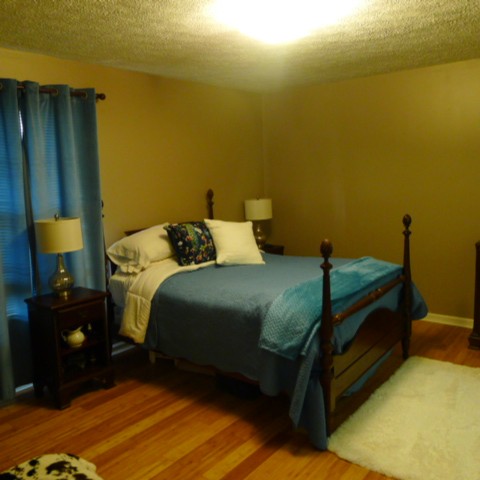 424 Karstridge Road Smyrna, TN 37167 - Photo 10 of 18 Gallery Image 10