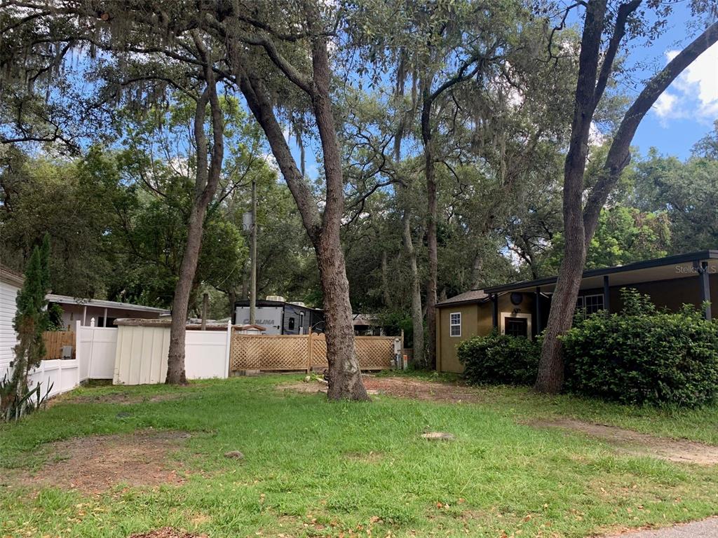 a view of a house with backyard and a tree