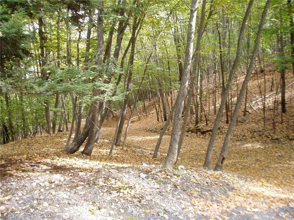 C West Redding Road Danbury, CT 06810 - Photo 1 of 1
