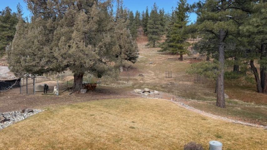697-385 Gold Run Road Susanville, CA 96130 - Photo 31 of 39
