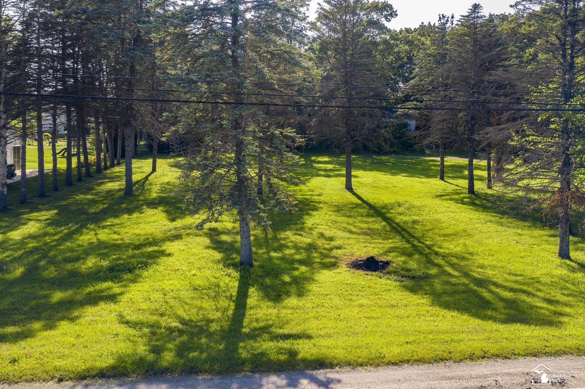 Parcel A Jackman Road Temperance, MI 48182 - Photo 5 of 10 Gallery Image 5