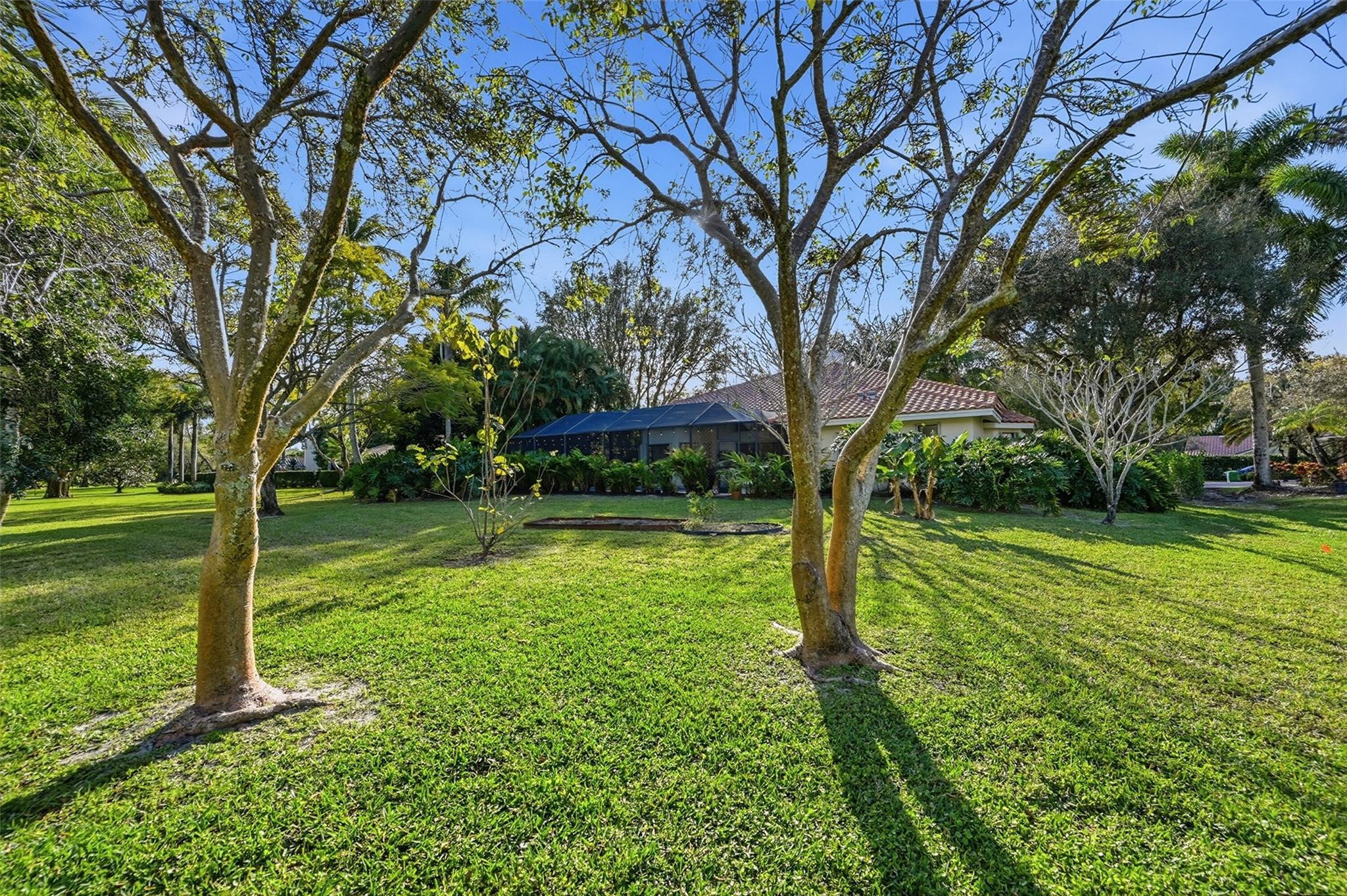 7720 West Upper Ridge Drive Parkland, FL 33067 - Photo 65 of 85 Backyard