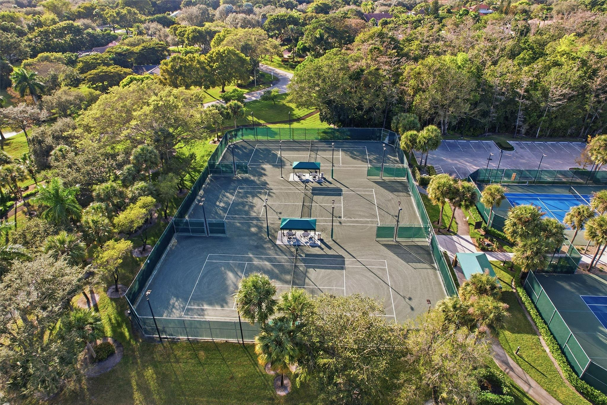 7720 West Upper Ridge Drive Parkland, FL 33067 - Photo 82 of 85 a view of a yard with plants and large trees