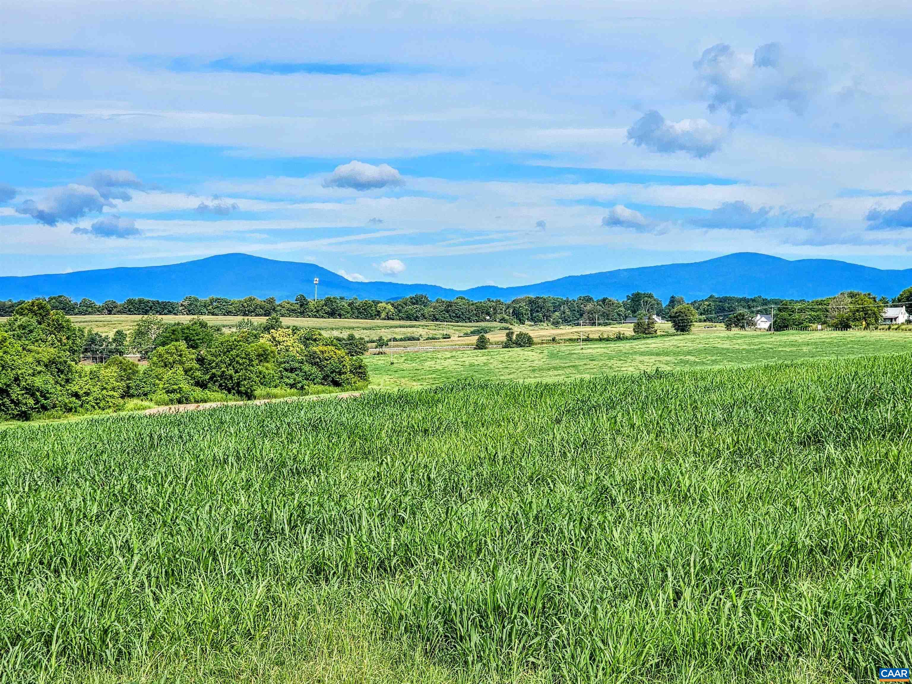 Lot 5 Fredericksburg Road Ruckersville, VA 22968 - Photo 4 of 6 a view of an outdoor and trees