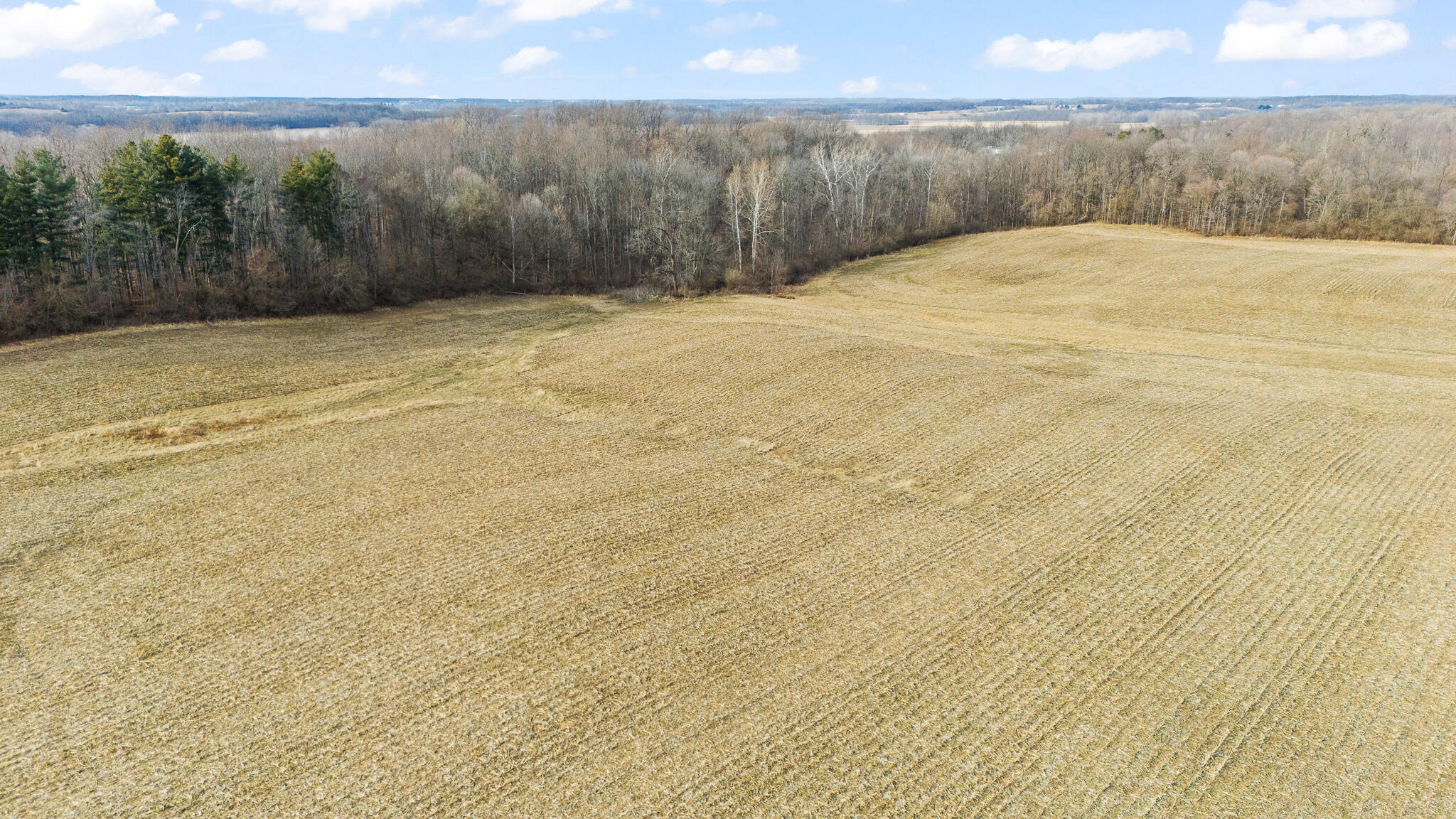 10999 Morrison-Mikesell Road New Paris, OH 45347 - Photo 13 of 51 DJI_20260123144145_0750_D
