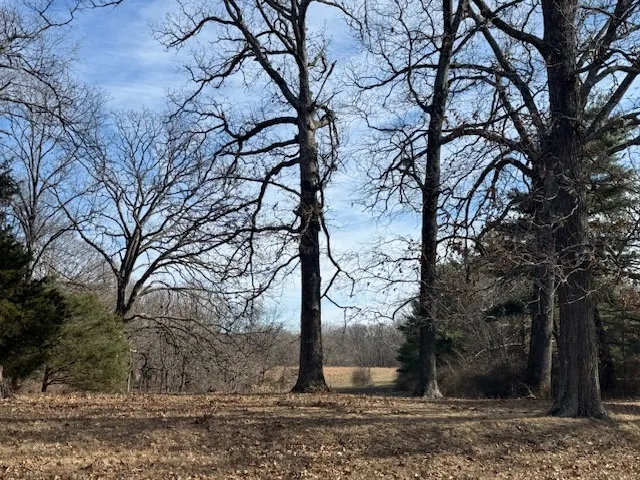 $106,875 | 0 North Harmony Lane, Mount Vernon, IL 62864