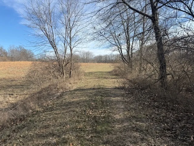 $106,875 | 0 North Harmony Lane, Mount Vernon, IL 62864